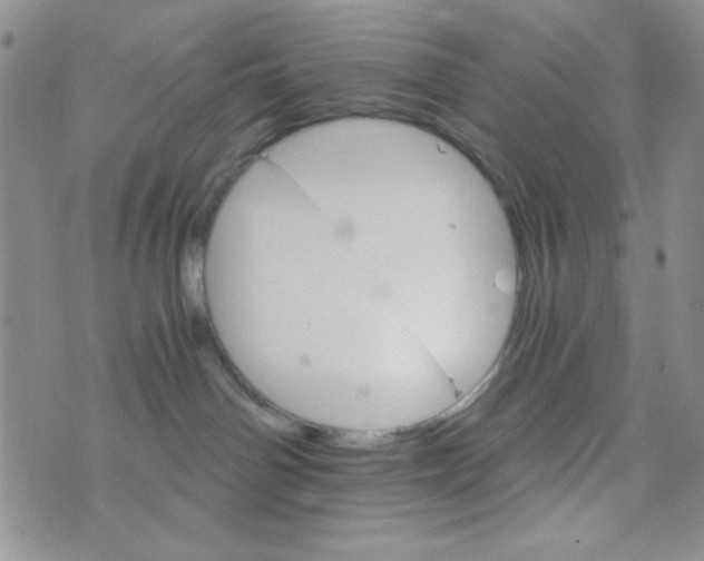 X0000073750142200608311944