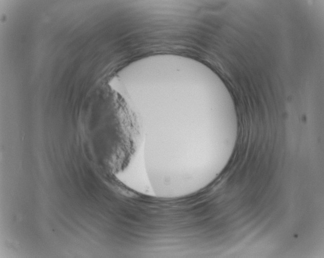 X0000073750143200608311944