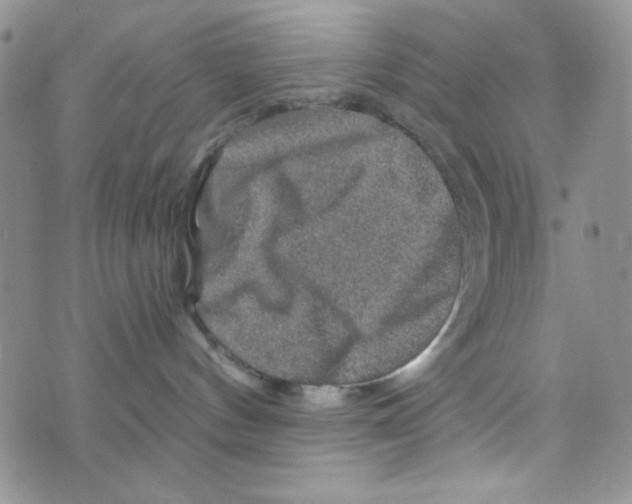 X0000073750144200608311944