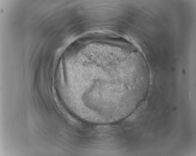 X0000073750145200608311943