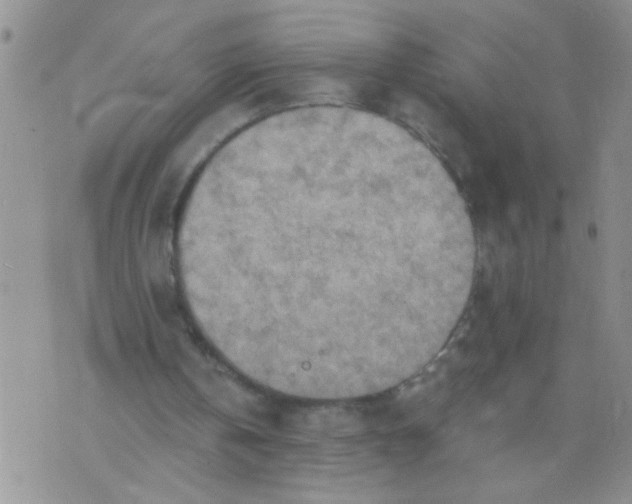 X0000073750146200608311944