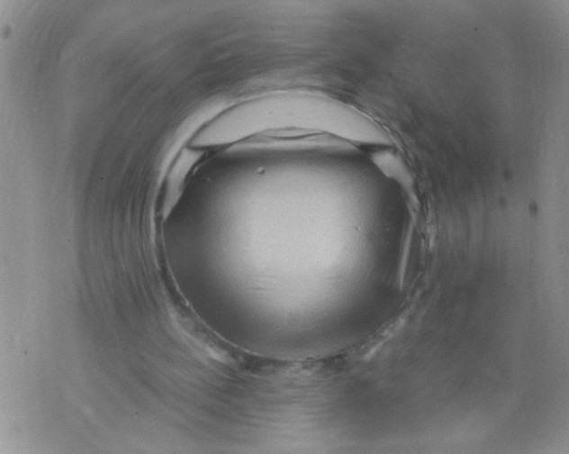 X0000073750148200608311944