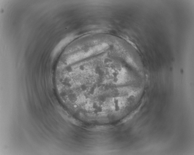 X0000073750149200608311944