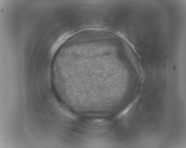 X0000073750151200608311944