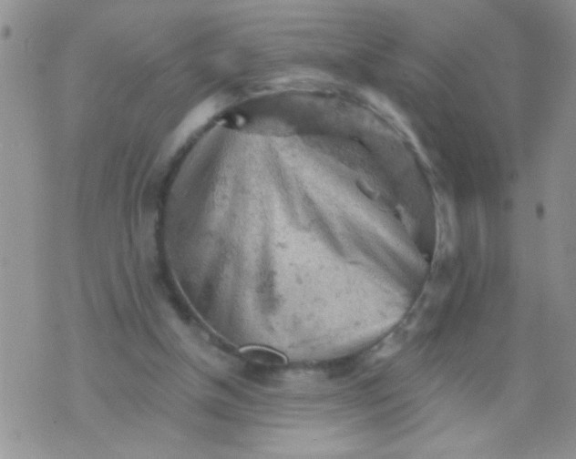 X0000073750154200608311944