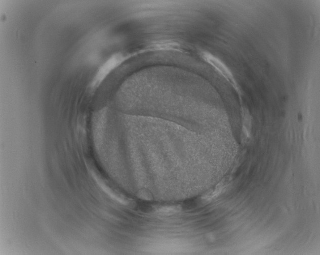 X0000073750155200608311944