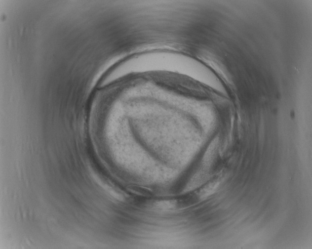 X0000073750156200608311944