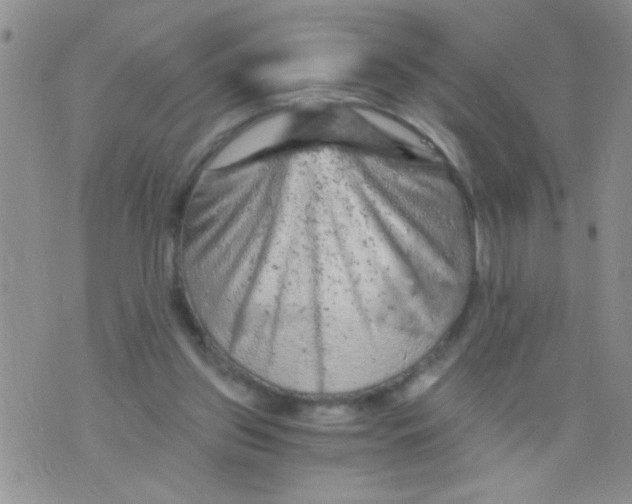 X0000073750157200608311944