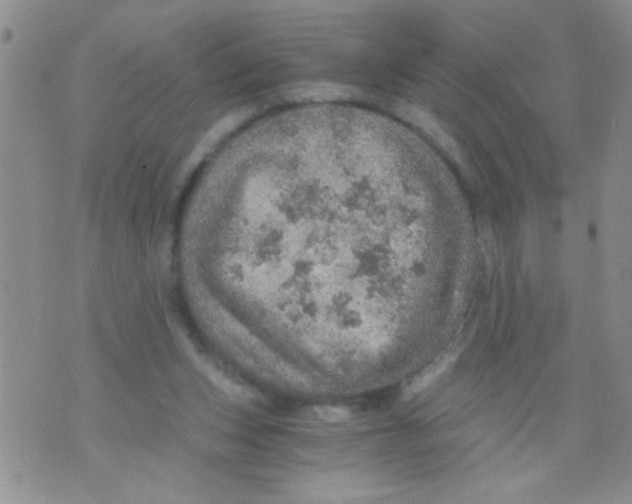 X0000073750159200608311944