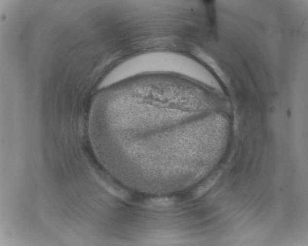 X0000073750161200608311944