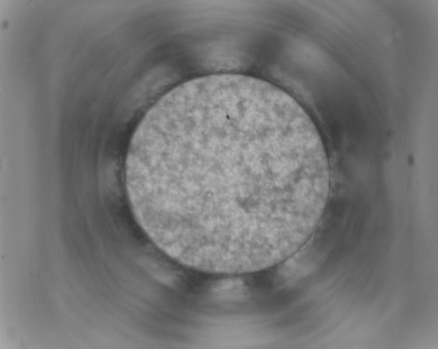 X0000073750162200608311944