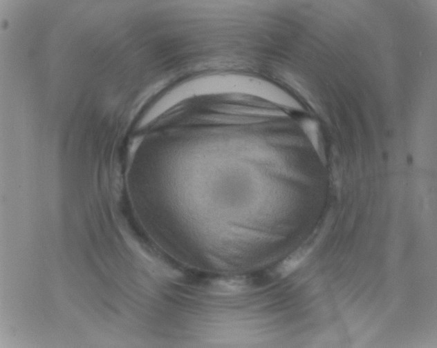 X0000073750164200608311944