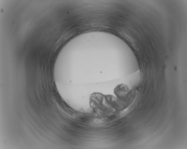 X0000073750166200608311944