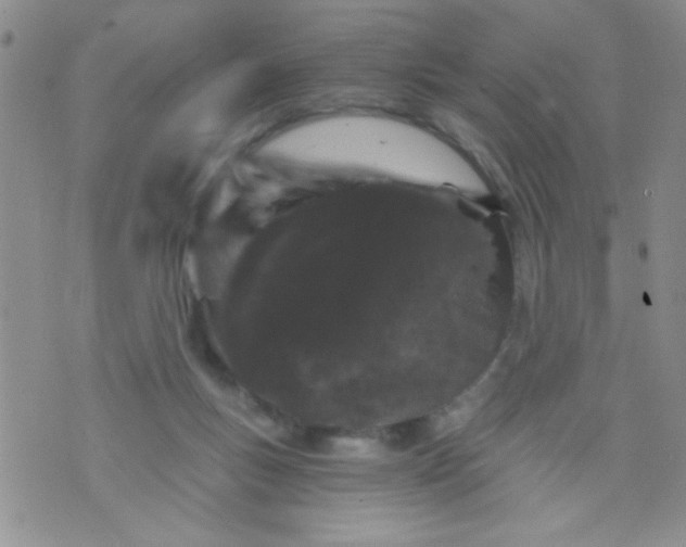 X0000073750167200608311944