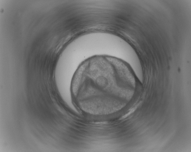 X0000073750168200608311944