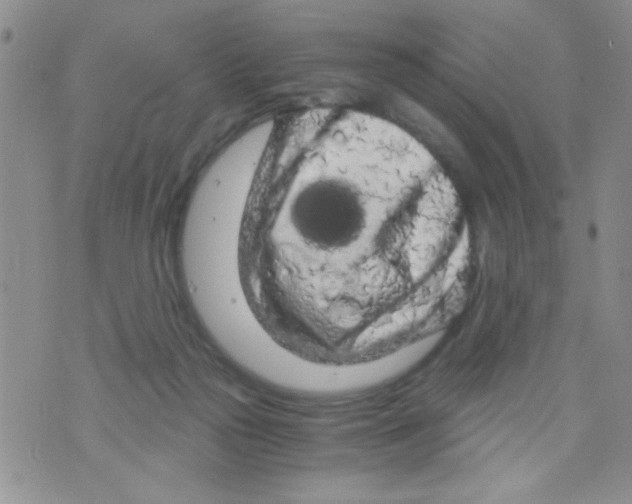 X0000073750169200608311944