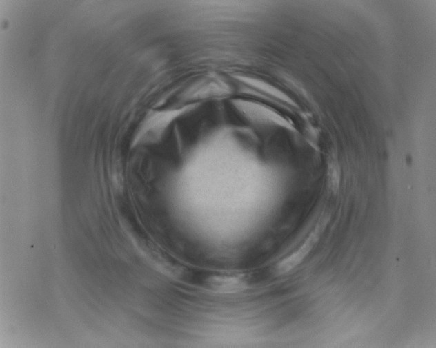 X0000073750170200608311944