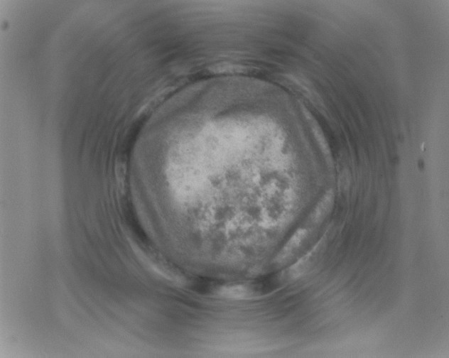 X0000073750171200608311944