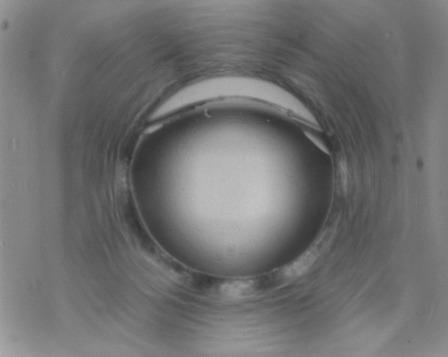 X0000073750172200608311944