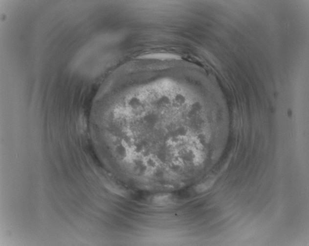 X0000073750173200608311944