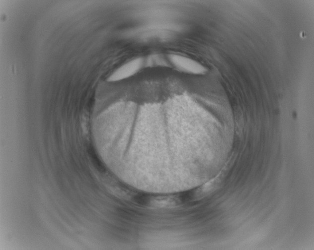 X0000073750175200608311944