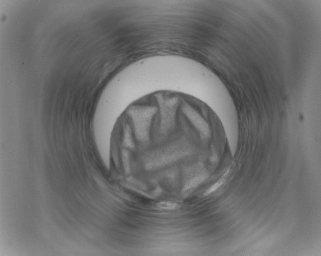 X0000073750176200608311944