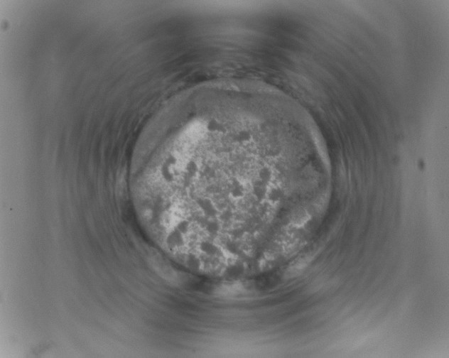 X0000073750177200608311944