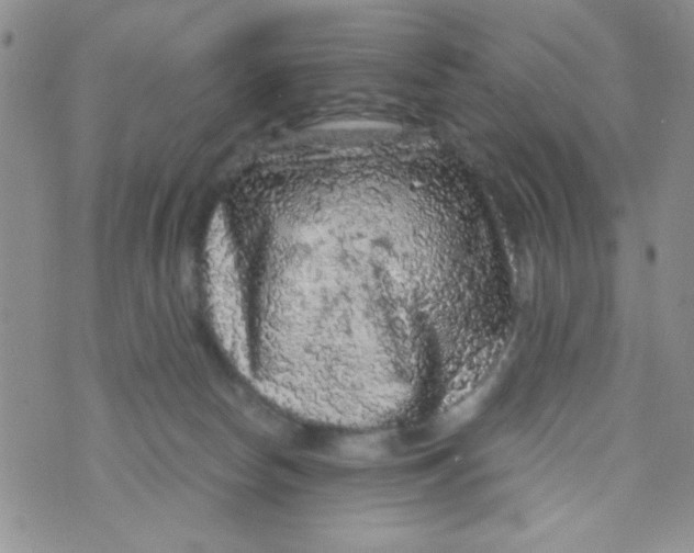 X0000073750178200608311944