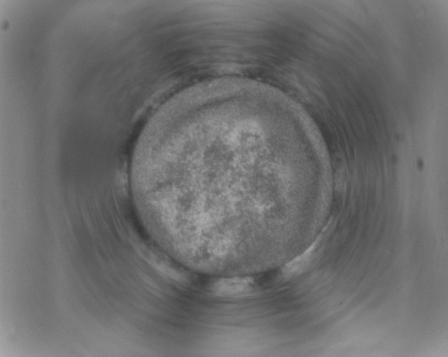 X0000073750179200608311944