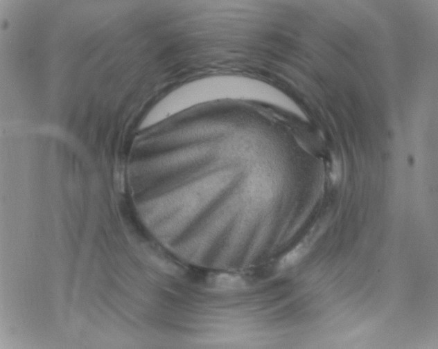 X0000073750180200608311944