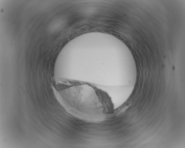 X0000073750181200608311944