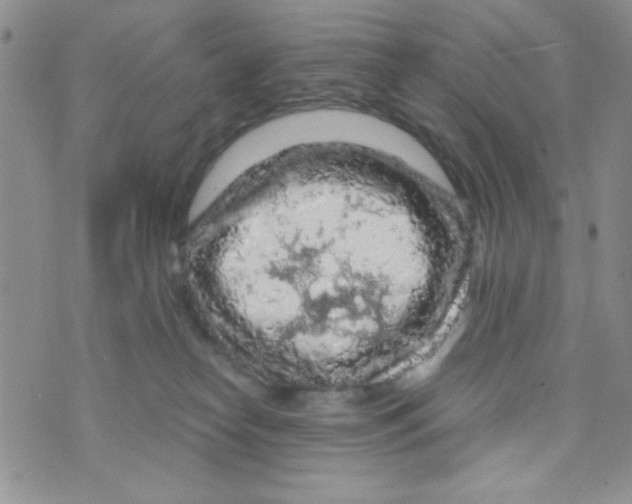 X0000073750182200608311944