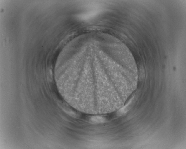 X0000073750183200608311944