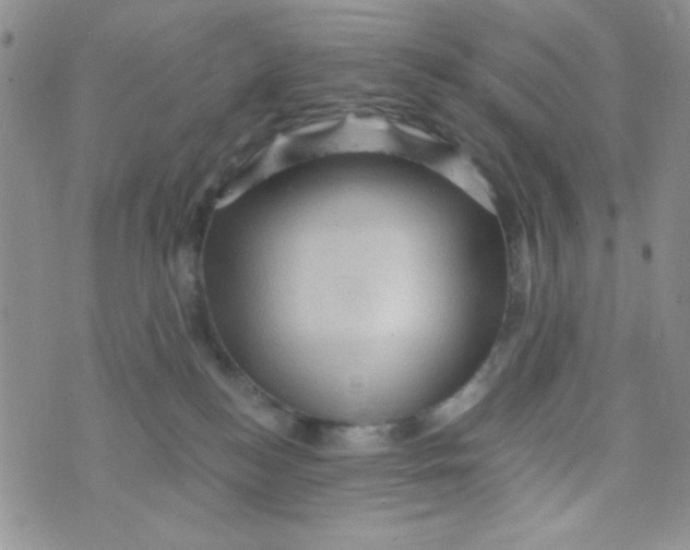 X0000073750184200608311944