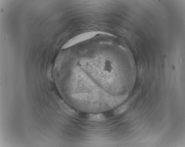 X0000073750185200608311944