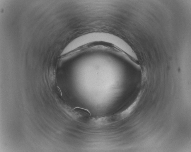 X0000073750186200608311944