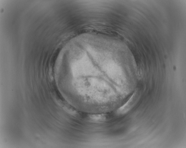 X0000073750187200608311944