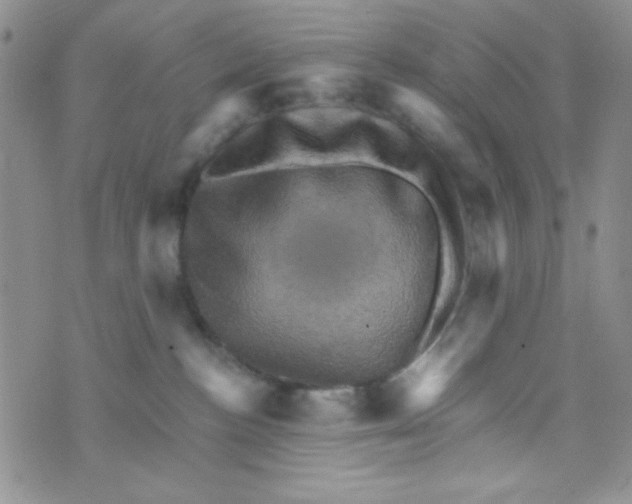 X0000073750188200608311944