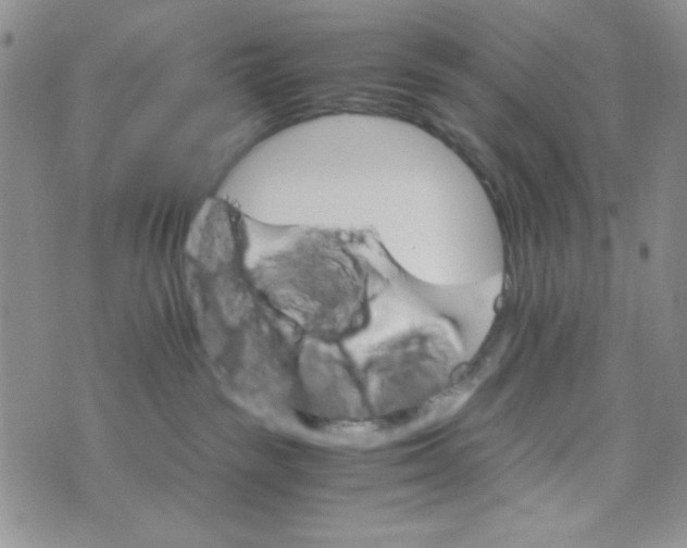 X0000073750189200608311944