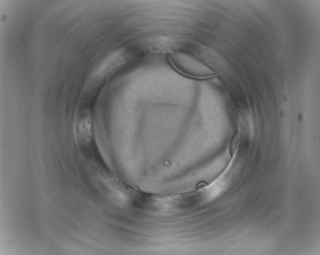 X0000073750190200608311944