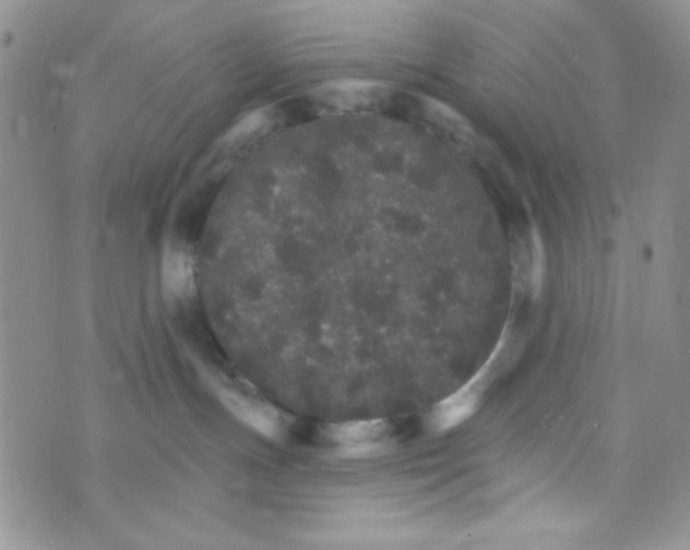 X0000073750191200608311944