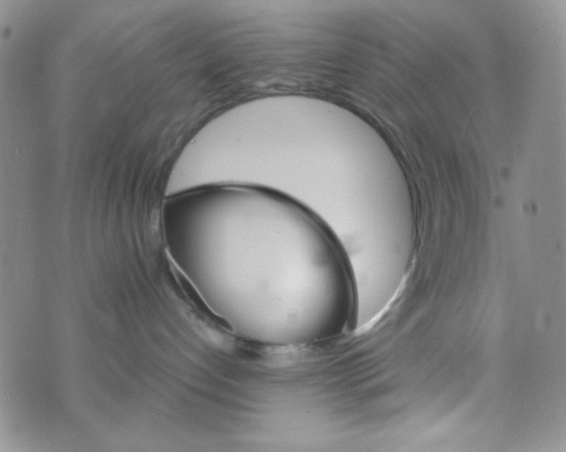 X0000073750192200608311944