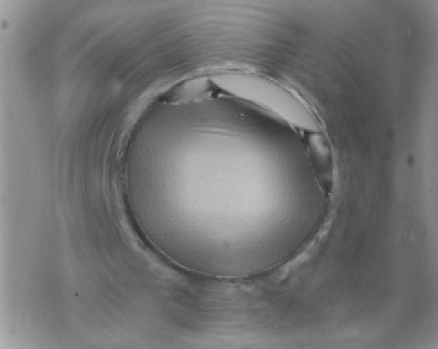 X0000073750193200608311943