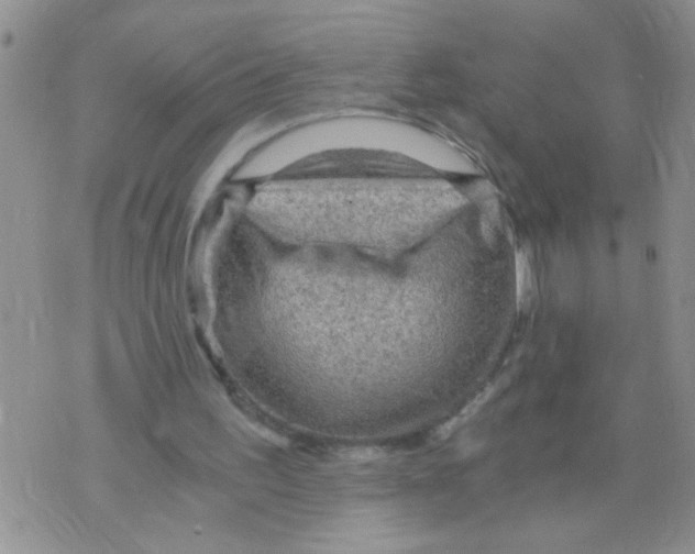 X0000073750195200608311943