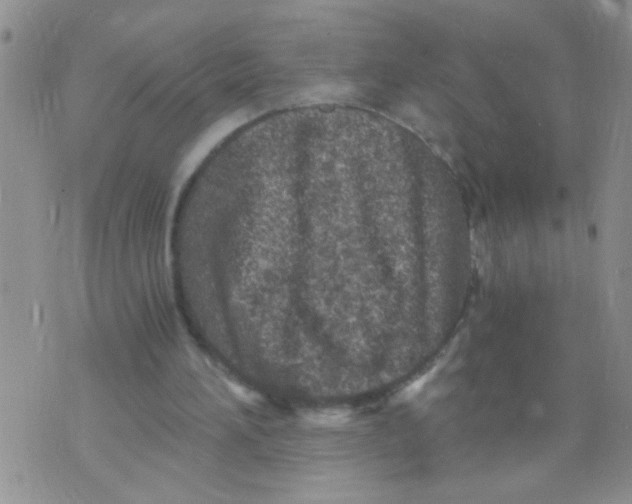 X0000073750196200608311943