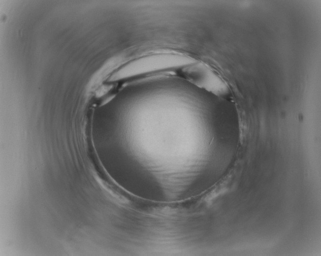 X0000073750197200608311943