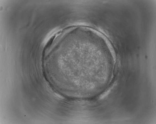 X0000073750199200608311943