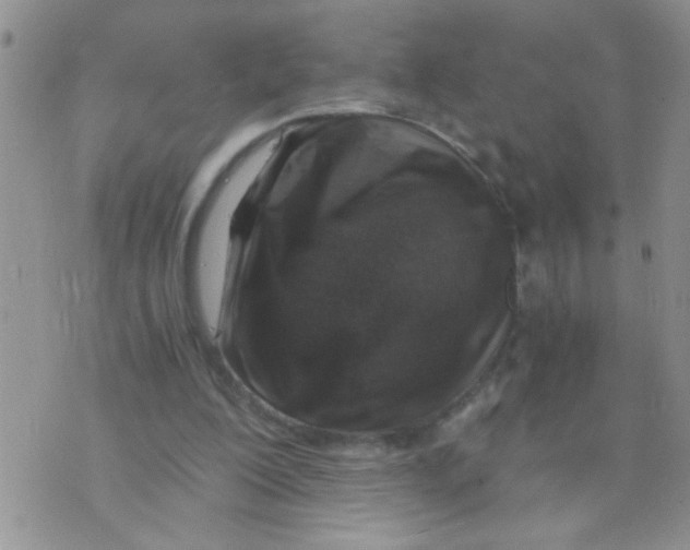 X0000073750200200608311943