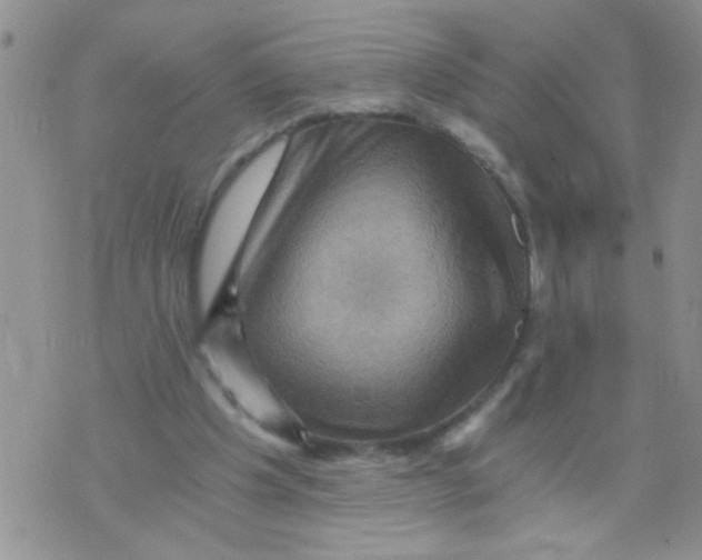 X0000073750201200608311943