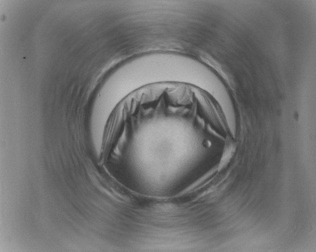 X0000073750203200608311943